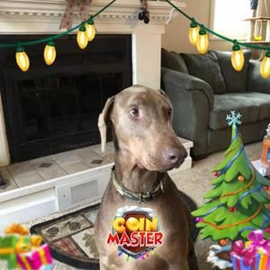 Meet your Posher, Francine